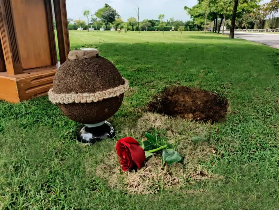 Urna biodegradable junto a la tierra y una rosa roja
